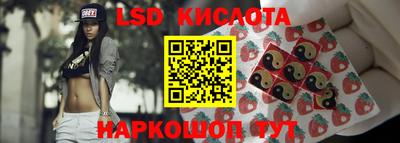 Альфа ПВП Дубна