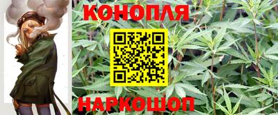 Альфа ПВП Дубна
