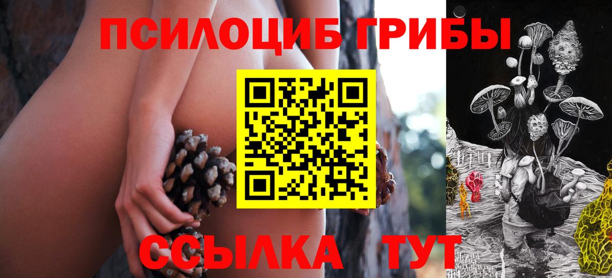 Люберцы  Галлюциногенные грибы прущие грибы  Вход с VPN  Галлюциногенные грибы прущие грибы 