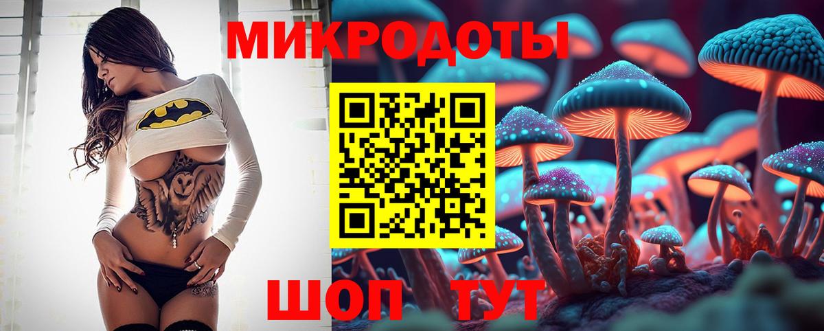 Псилоцибиновые грибы мицелий Люберцы